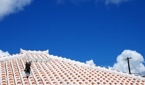 siro hotels and resort.